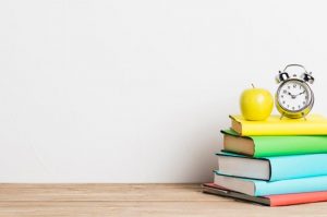 qué es una revisión bibliográfica